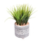 Artificial small leaves with cemente pot green artificial plant