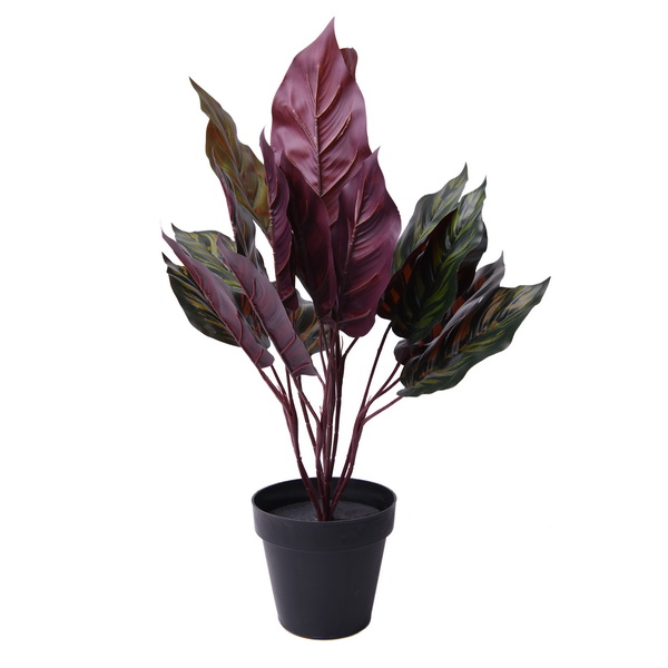 New arrival pot artifical plant with arrowroot leaf and black plastic potted plant