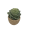 small Artificial Succulent Plants With Rattan weaving pots for planter
