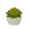 new ceramic pot artificial succulents small plants