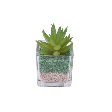 new mini green glass terrarium artificial succulents small plants