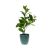 Potted Ceramics Artificial Green Plant for Home Office Decor