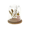 Flowers And Plants Gifts for Birthdays And Holidays Glass Cover Wooden Support Base Wishing Bottle Dried Flowers