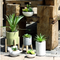 Mini Modern Green Ceramic flower pots & planters Potted Plant Holder for plants