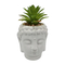 artificial succulent with Cement pot green plant