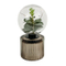 wholesale Micro landscape plant in glass for home decoration