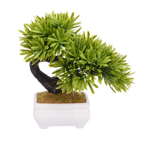 Podocarpus indoor Artificial Pine Tree bonsai trees small plants